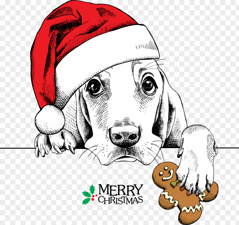 Meng Dog Wearing Christmas Hats Basset Hound Dachshund Pug Santa Claus PNG