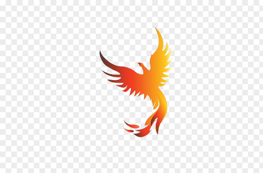 Phoenix Logo Icon Royalty-free Clip Art PNG