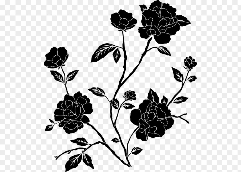 Wildflower Branch Black And White Flower PNG