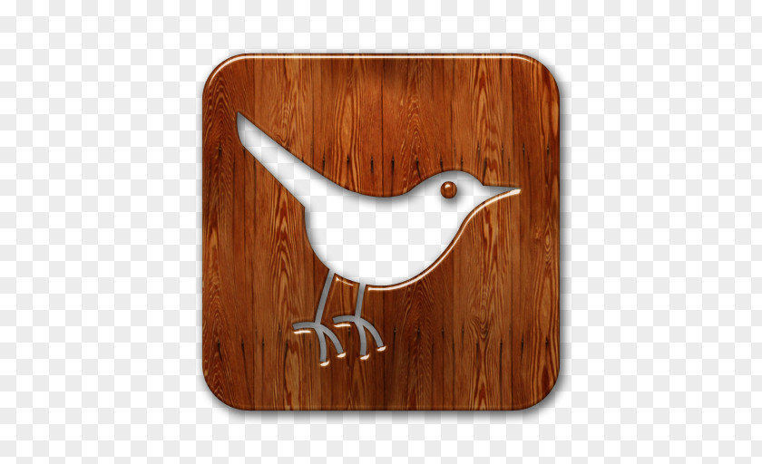 Biological Social Media Networking Service Wood PNG