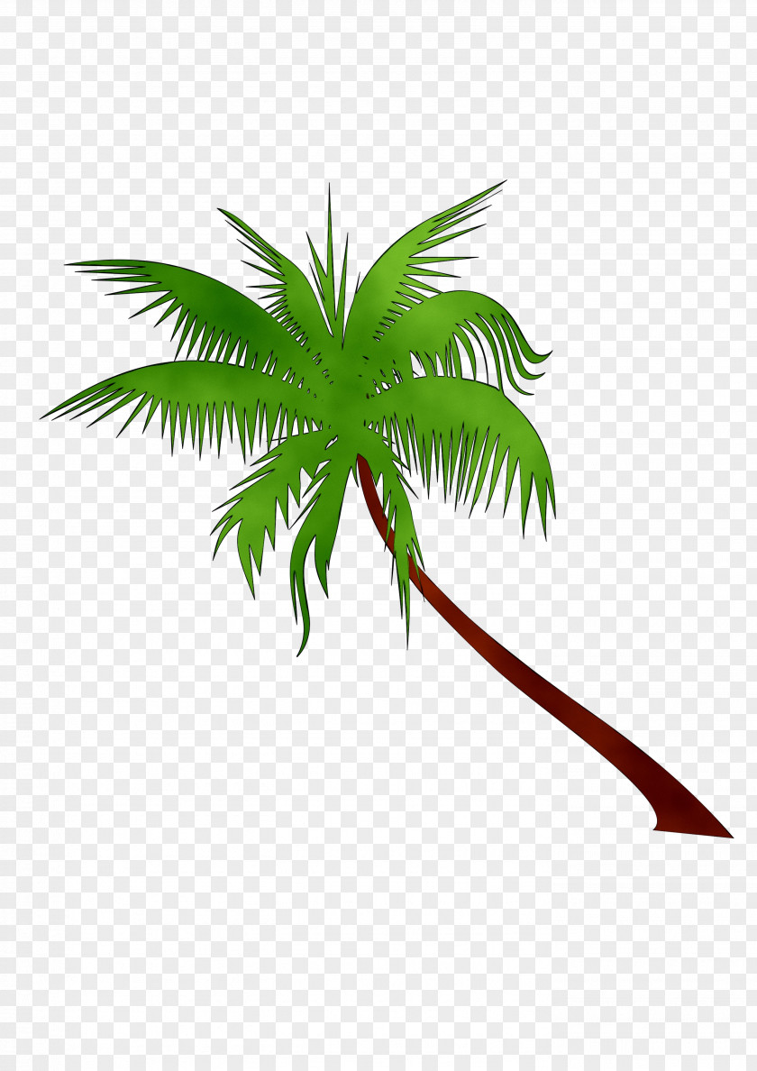 Coconut Clip Art PNG