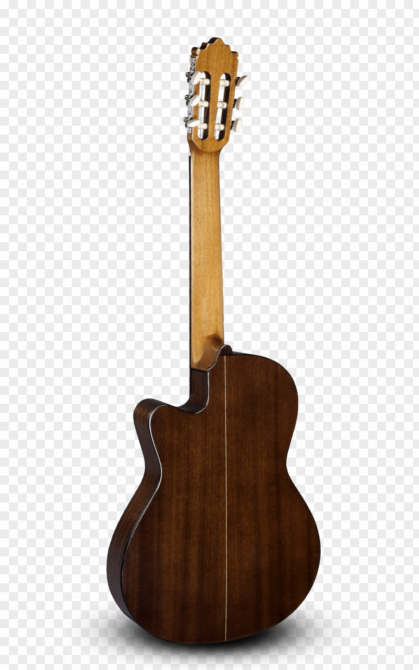 Thin Body Tiple Acoustic Guitar Bass Cuatro PNG