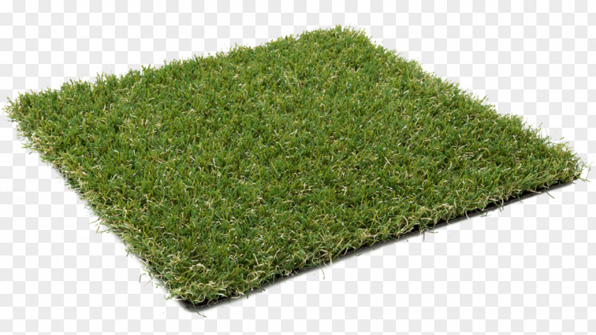 Turf Artificial Lawn Garden Synthetic Fiber PNG