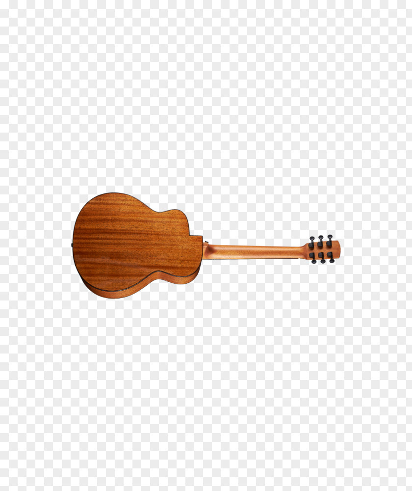 Bird Ukulele Acoustic Guitar Feather PNG