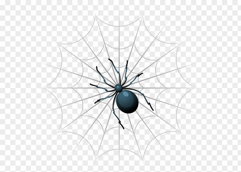 Black Spider Web Insect PNG