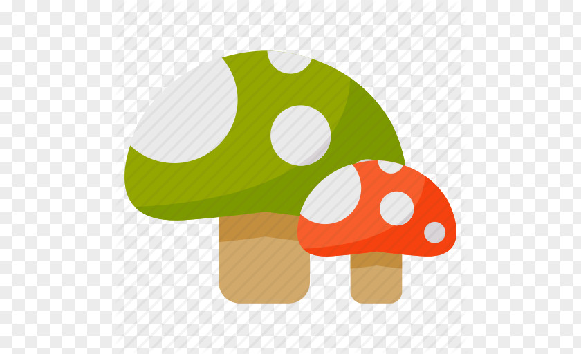 Cartoon Mushrooms Flat Design Illustration PNG