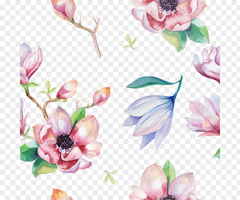 Flower Watercolor Painting Magnolia Drawing PNG