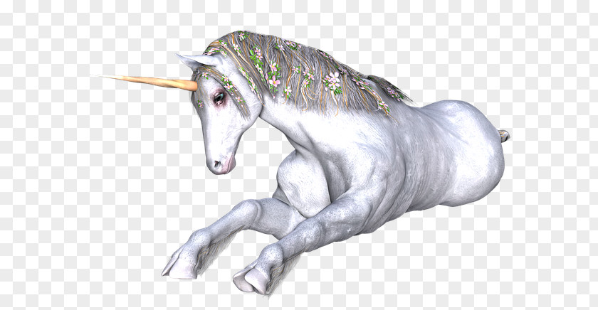 Unicorn Horn Drawing Horse Fairy Tale PNG