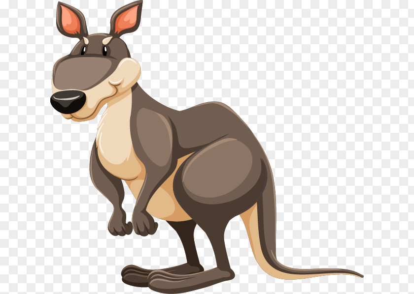 Vector Cartoon Grey Kangaroo Diagram Clip Art PNG