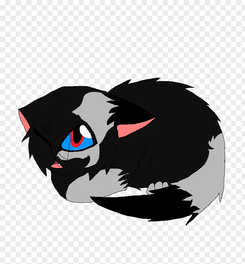 Cat Whiskers Dog Canidae PNG