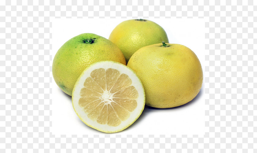 Grapefruit Lemon-lime Drink Key Lime Persian PNG