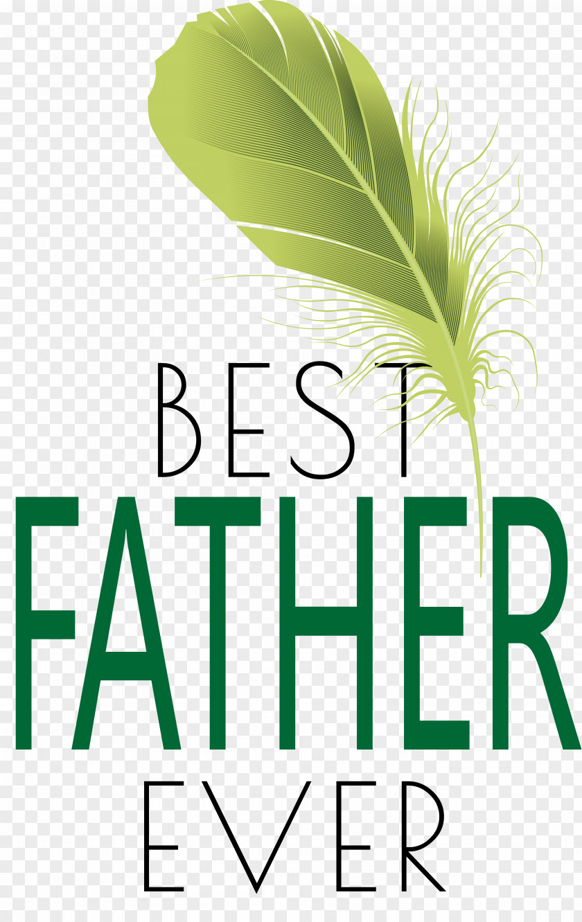 Leaf Logo Font Line Tree PNG