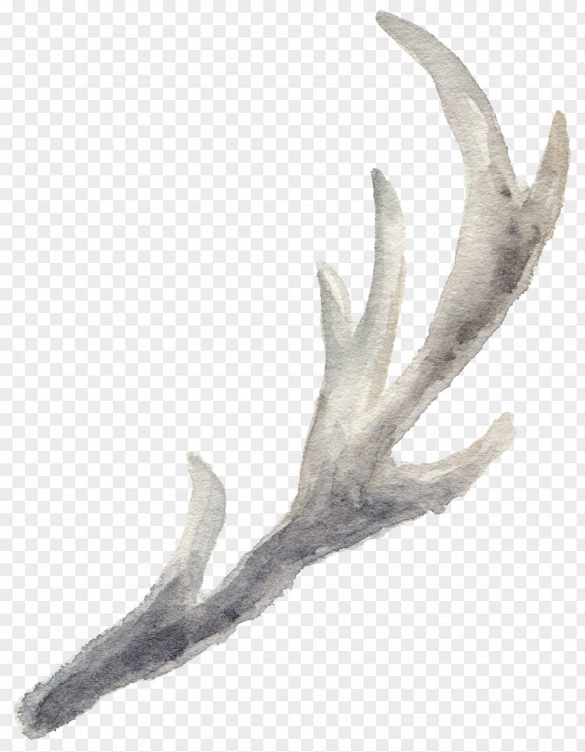 Leaves Falling Element Transparent Antler Reindeer Watercolor Painting Pxe8re Davids Deer PNG