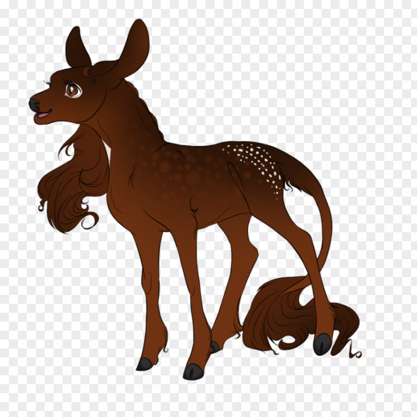 Mustang Mule Mane Deer Donkey PNG