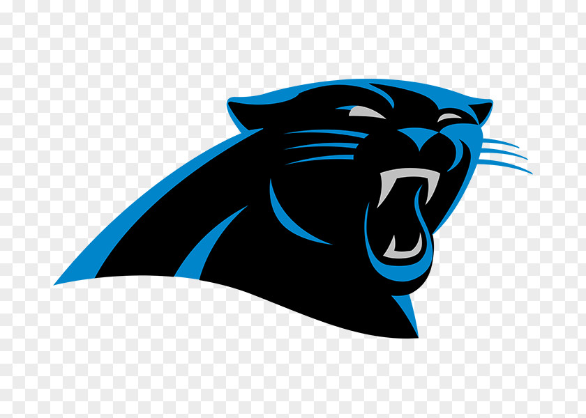 NFL Carolina Panthers Miami Dolphins Philadelphia Eagles Atlanta Falcons PNG