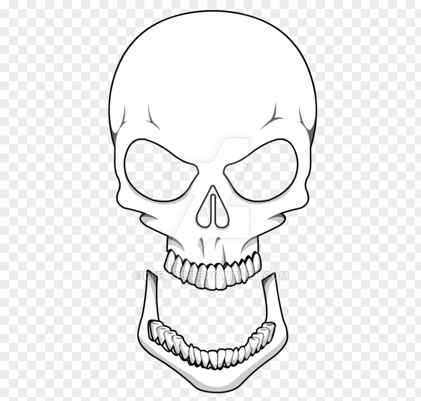 Nose /m/02csf Line Art Skull Drawing PNG