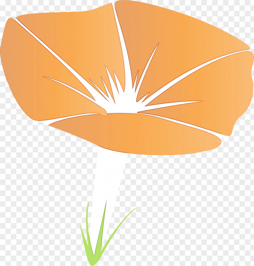 Orange PNG