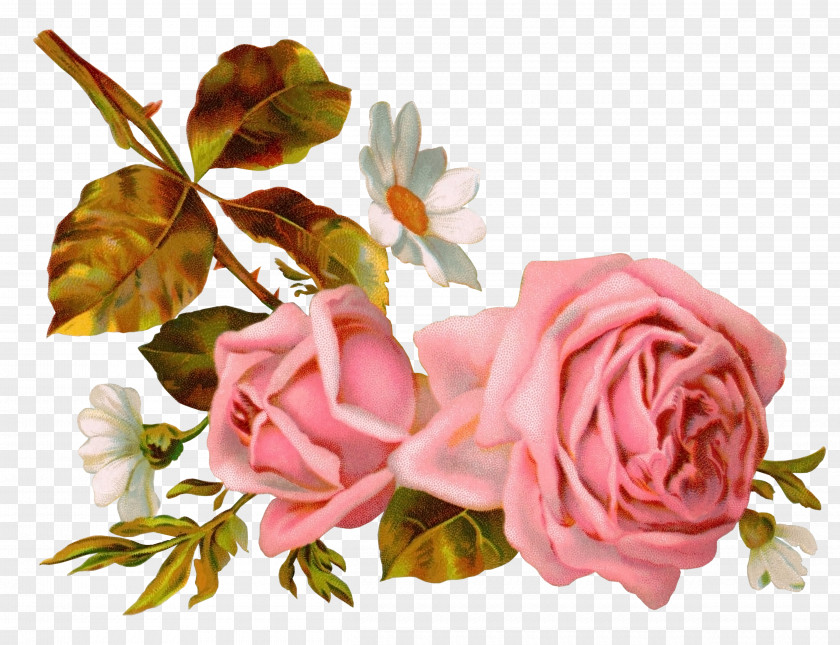 Rose Victorian Era Flower Bokmxe4rke Clip Art PNG