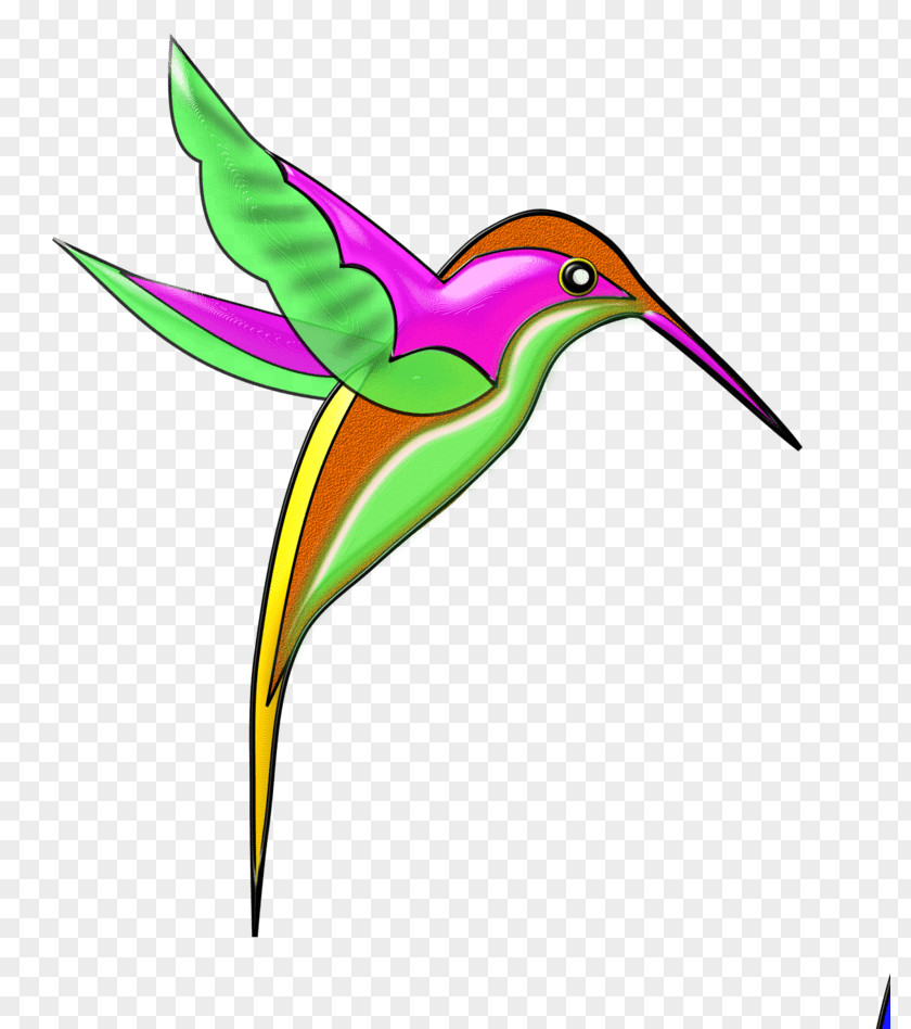 Absent Design Element Berylline Hummingbird Beak Violetear PNG
