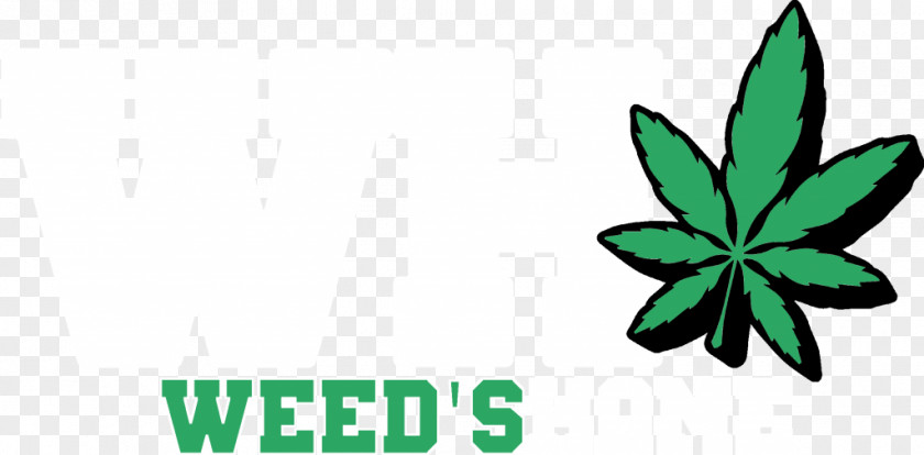 Cannabis Advertising Medical Media Leaf PNG