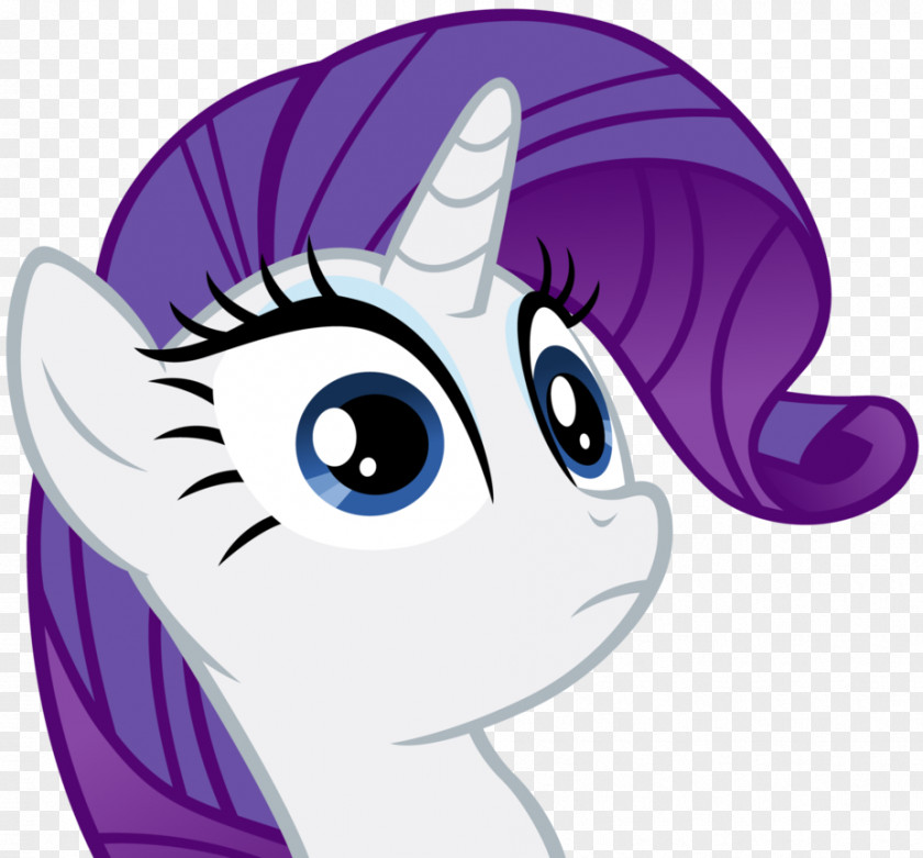 Cat Rarity Twilight Sparkle Sunset Shimmer Unicorn PNG