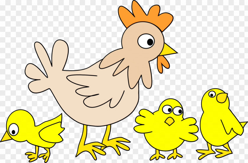 Chicken Bird Cartoon Yellow Beak PNG