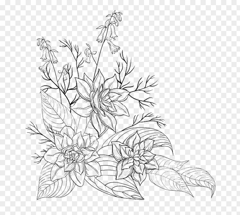 Enlisted Army Clip Art Illustration Drawing Flower Image PNG