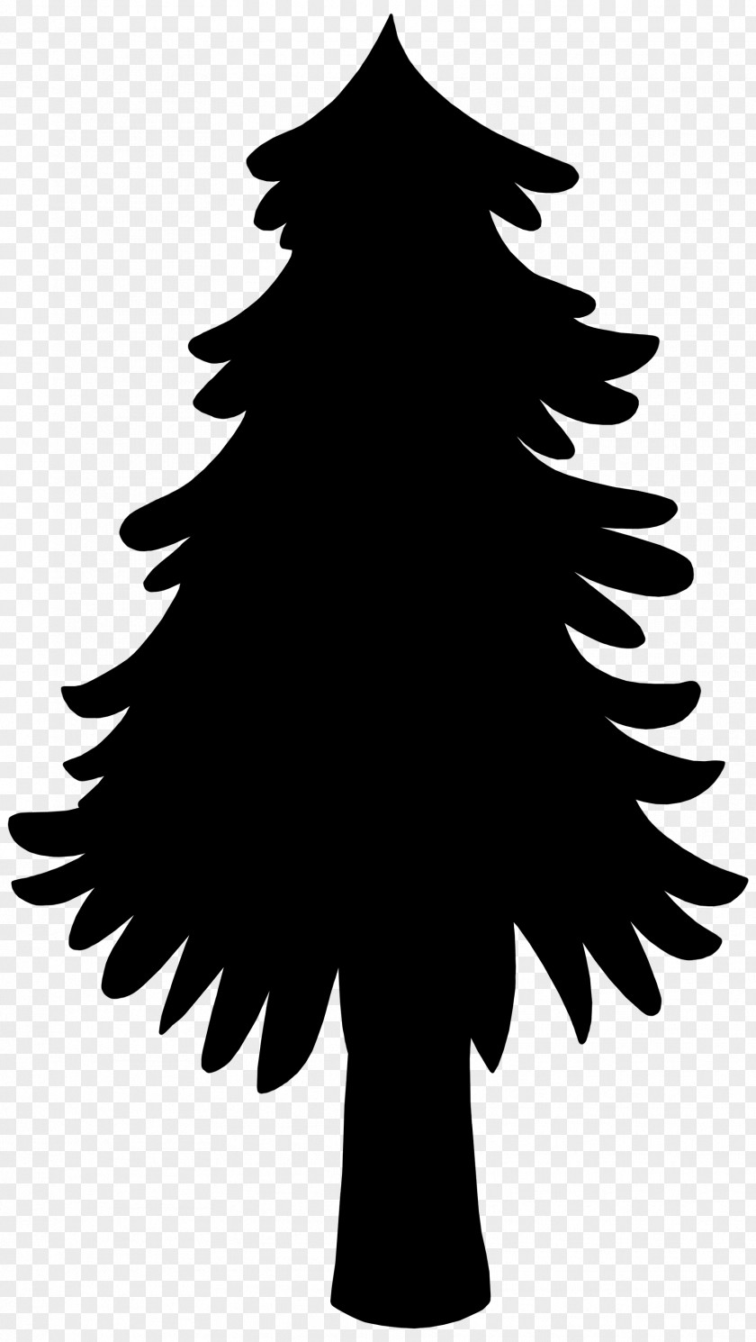 Fir Christmas Tree Spruce Day PNG