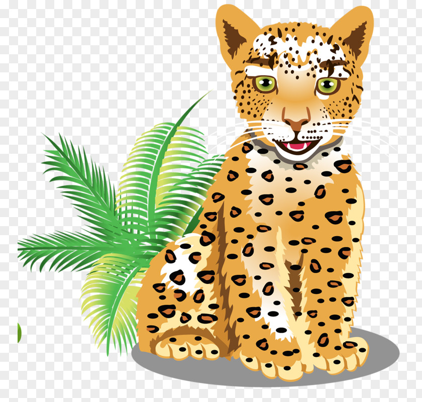 Leopard Felidae Cartoon Clip Art PNG