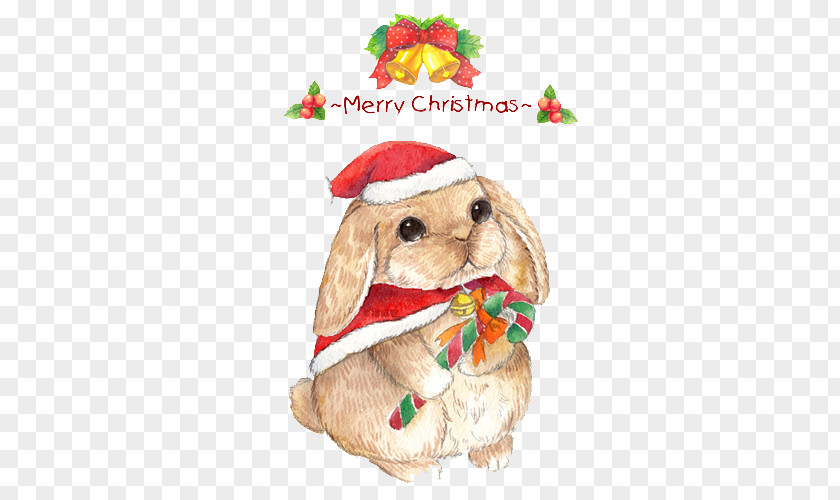 Merry Christmas Bunny Element Eve The Magic Rabbit Cat PNG
