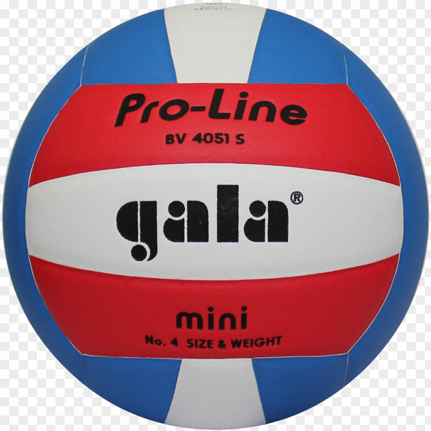 Volleyball Gala 