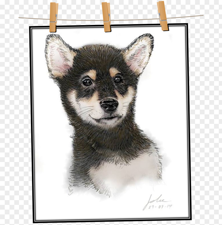 Board Drawing Miniature Siberian Husky Tamaskan Dog Lapponian Herder Saarloos Wolfdog Canadian Eskimo PNG