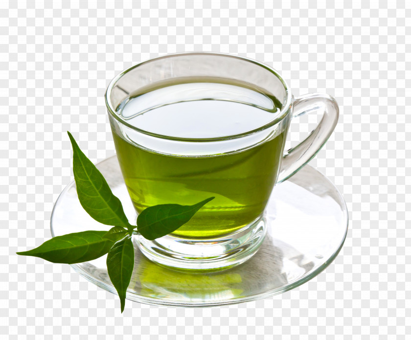 Cup Of Green Tea Coffee Herbal Drink PNG