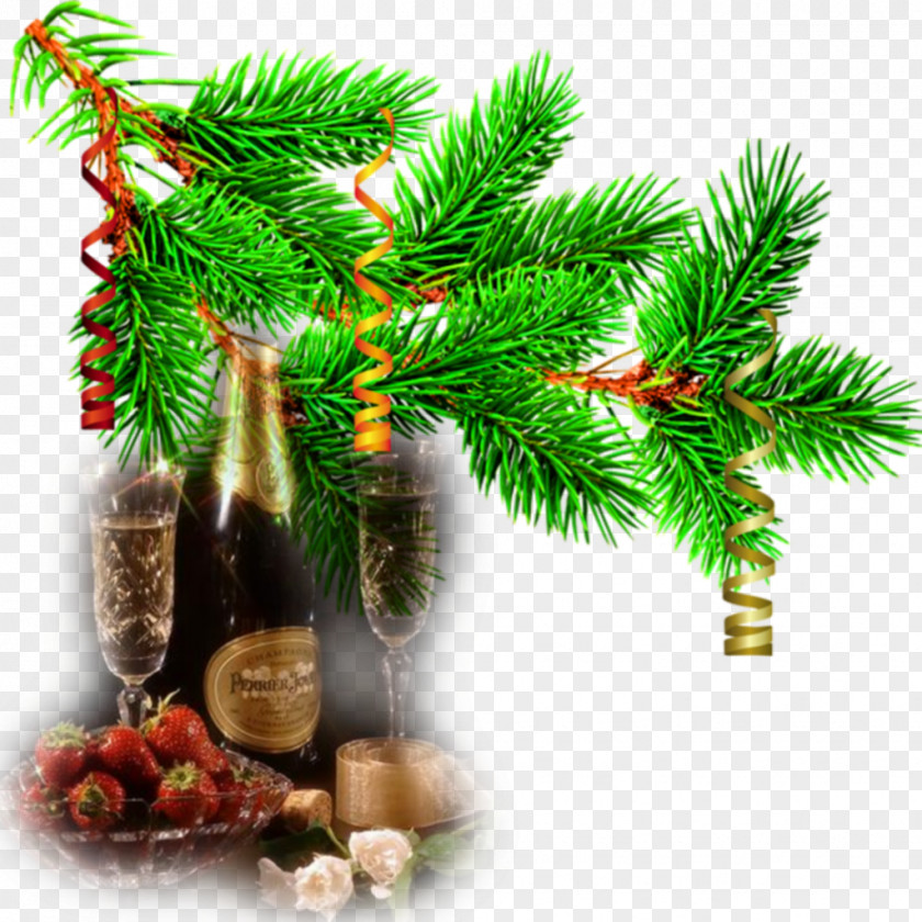 Decorate Fir Christmas Tree Pine PNG