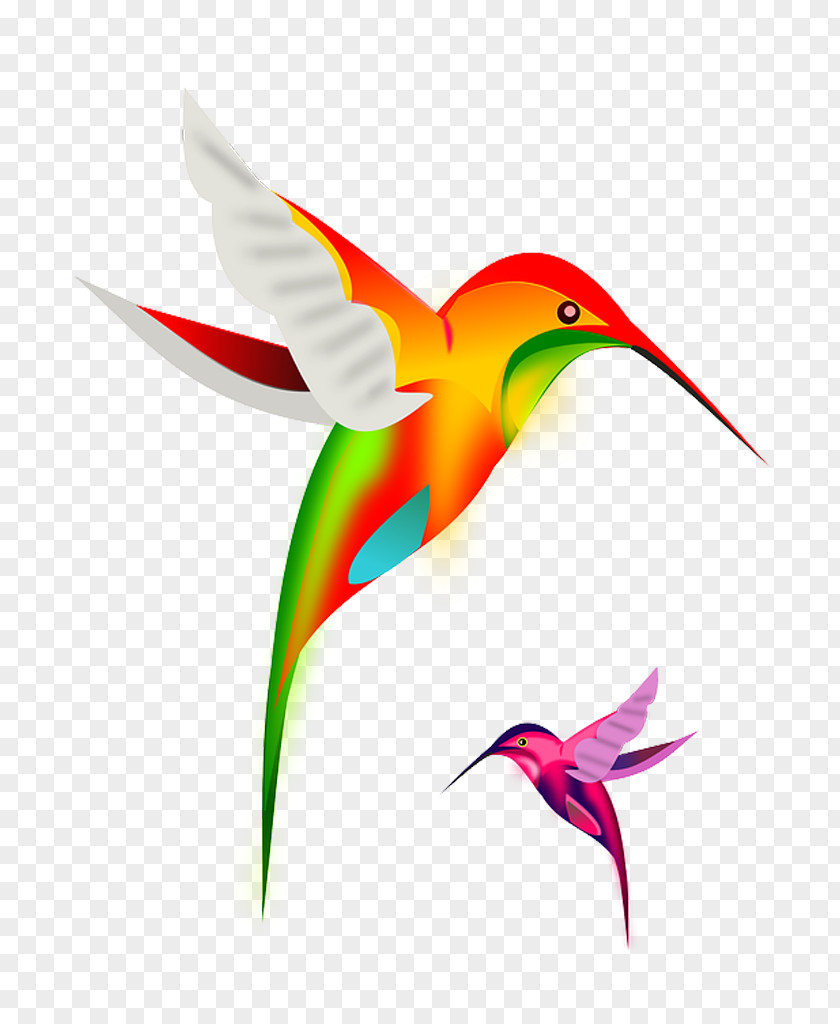 Flor Hummingbird Clip Art PNG