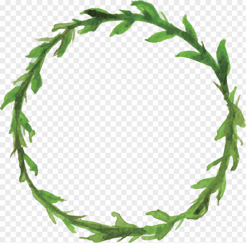 Leaf Plant Twig PNG