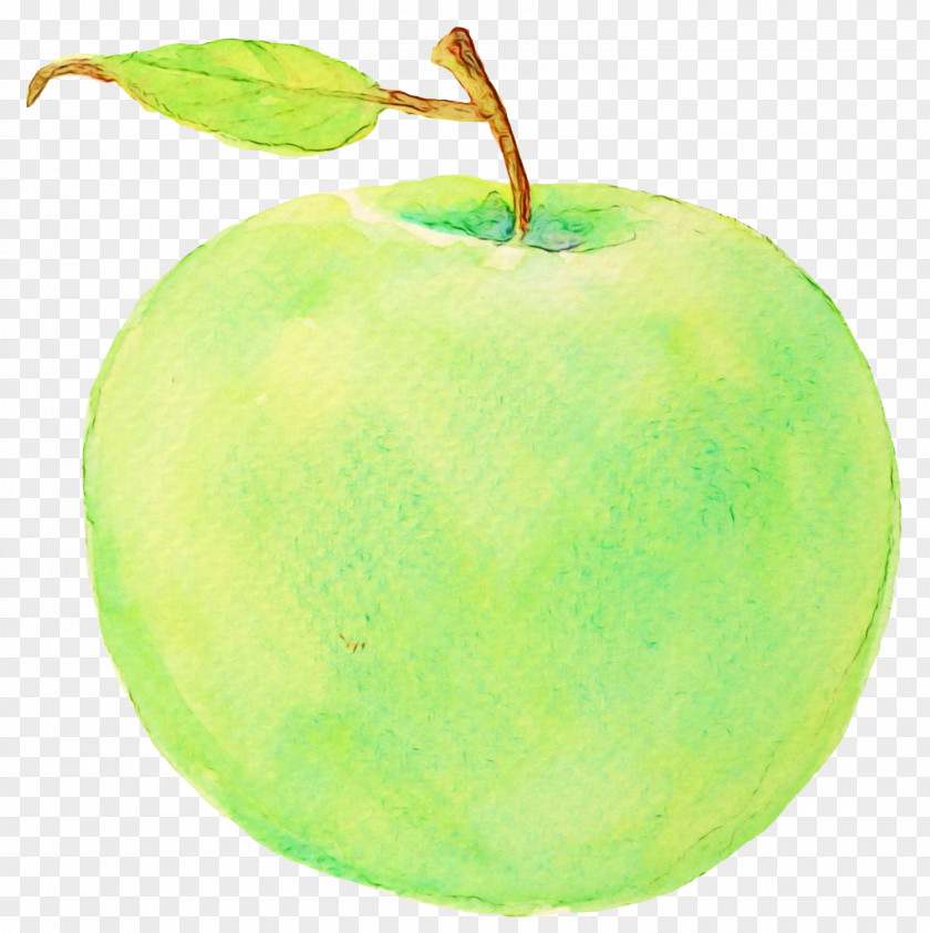Seedless Fruit Pectin Granny Smith Green Apple Plant PNG