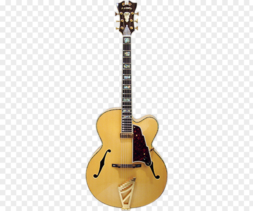 Acoustic Guitar Steel-string Acoustic-electric Cutaway PNG