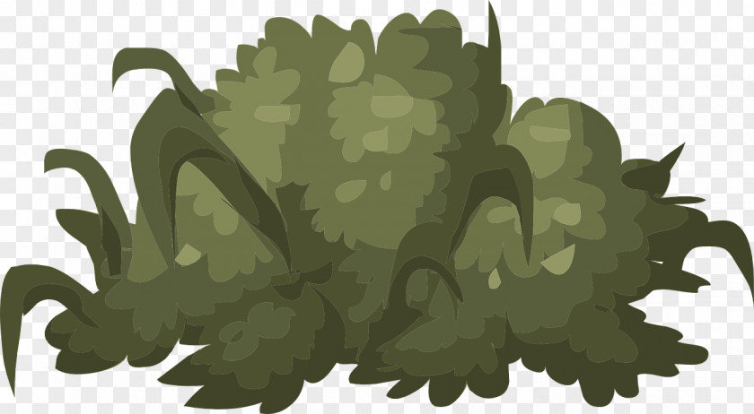 Bushes Shrub PNG