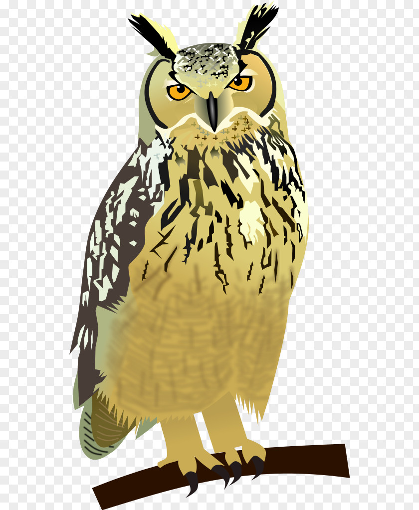 Creative Owl Great Horned Drawing PNG