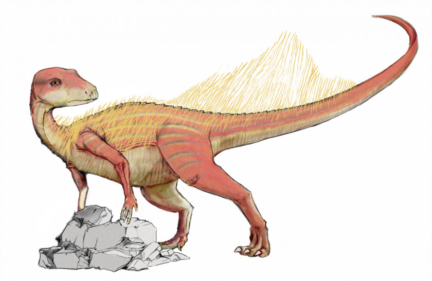 Dinosaur Abrictosaurus Heterodontosaurus Sinemurian Lycorhinus PNG