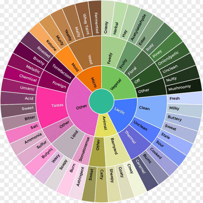 Cheese Flavor Sensory Analysis Taste Food PNG