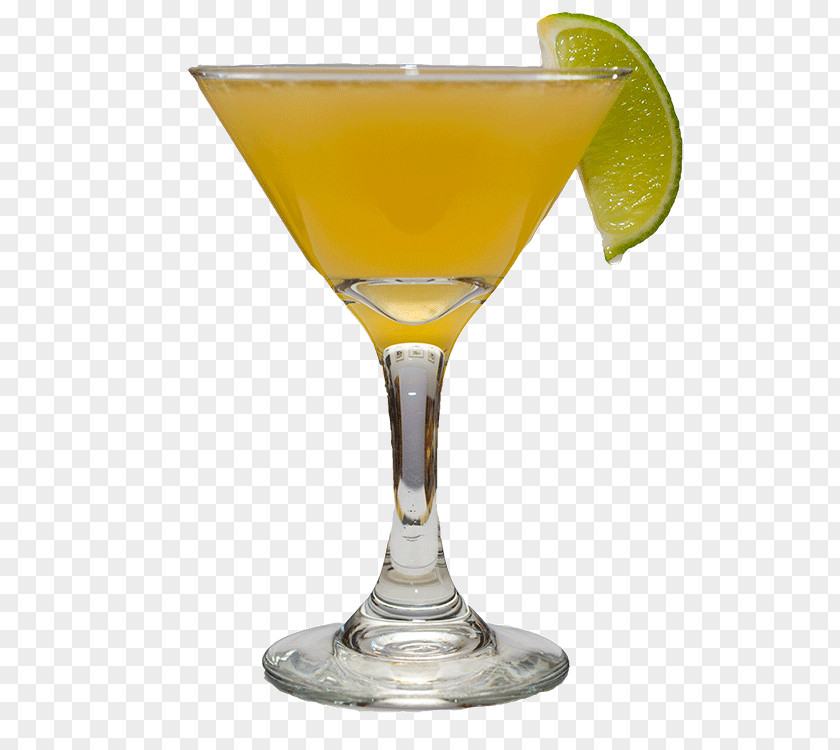 Cocktail Garnish Martini Harvey Wallbanger Sea Breeze PNG