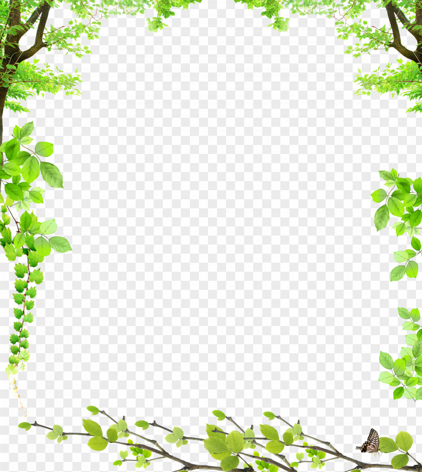 Green Leaves Picture Frame Film Clip Art PNG