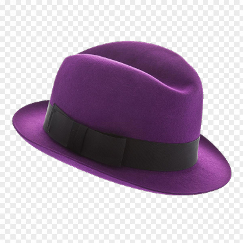 Hats Hat Headgear Violet Fedora Lilac PNG