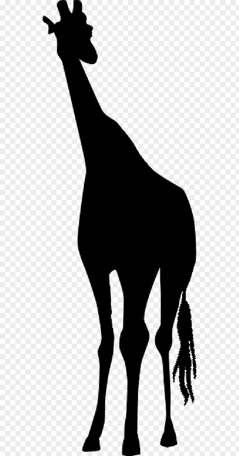 Mustang Horse Stencil Drawing Deer PNG