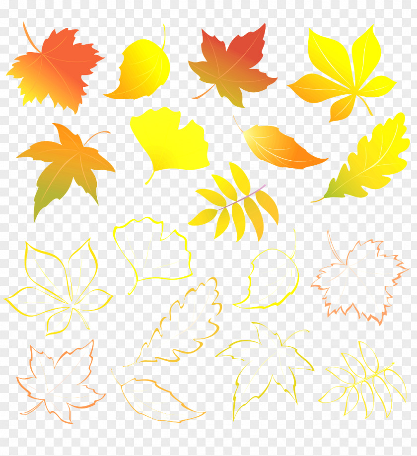 Pedicel Plant Leaf Yellow Tree Clip Art PNG