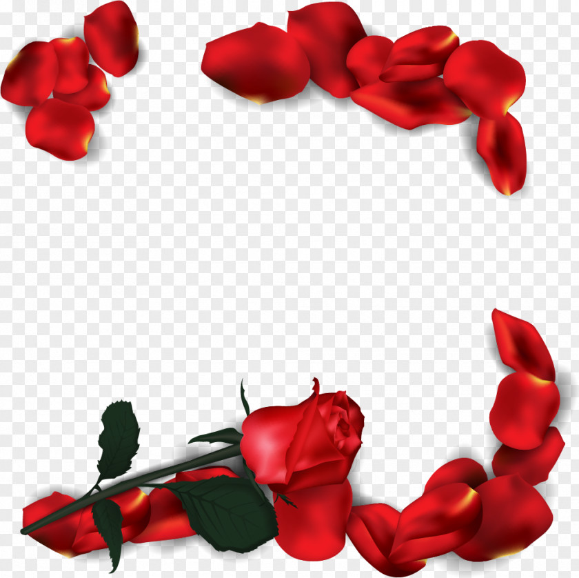 Romantic Rose Vector PNG