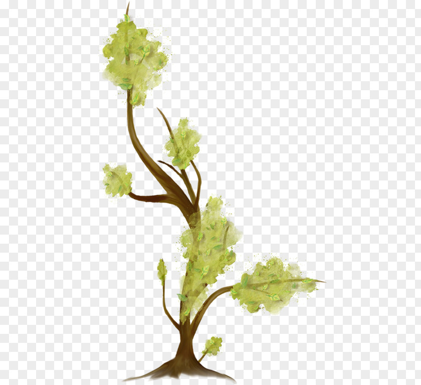 Tree Twig Branch PNG