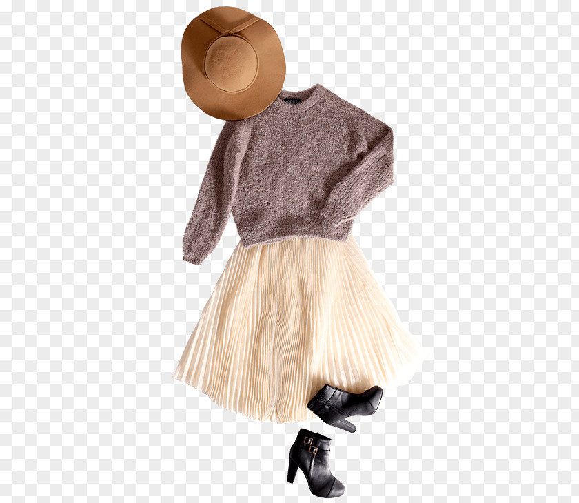 Trend Of Women Fur Skirt Brown Neck Dress PNG